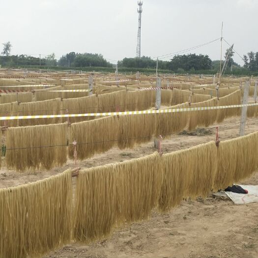 砀山县红薯粉丝   【安徽特产】正宗农家纯手工红薯粉条特产地瓜苕丝酸辣粗细粉条