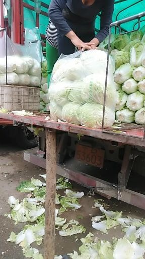 南阳方便袋 大白菜手提袋热销