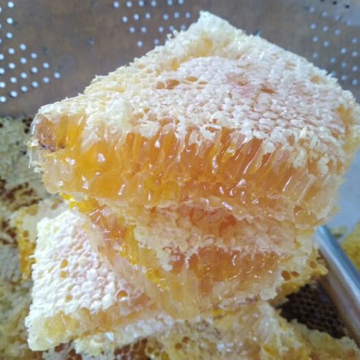 东至县 大山上的野生土蜂蜜，质量保证