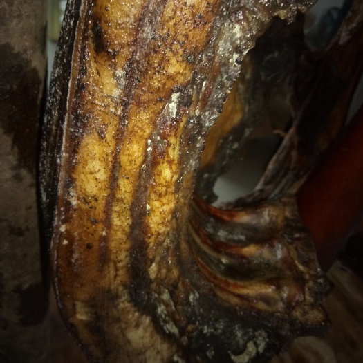 平利县农家柴熏腊肉 正宗烟熏，膘肥肉美