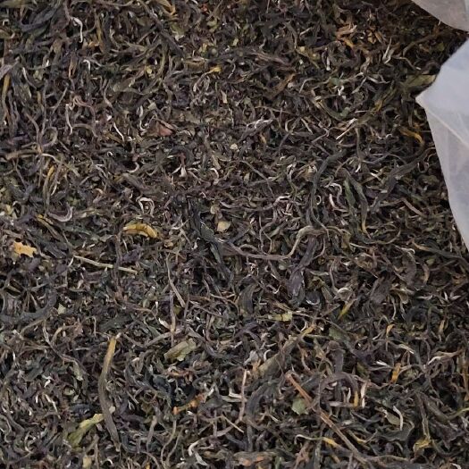 梅州 高山绿茶