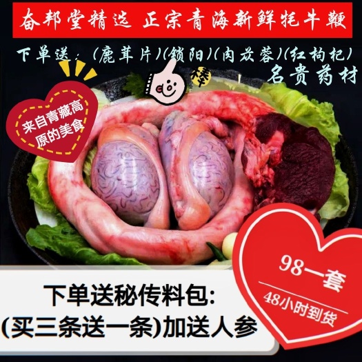 西宁 青海新鲜牦牛鞭牛宝牛杂牛肉