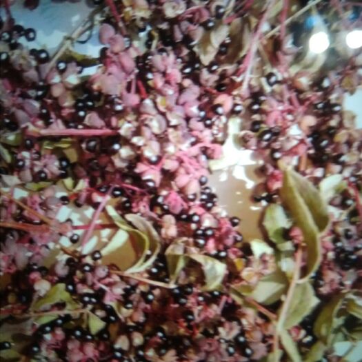 新县 纯自然野生花椒