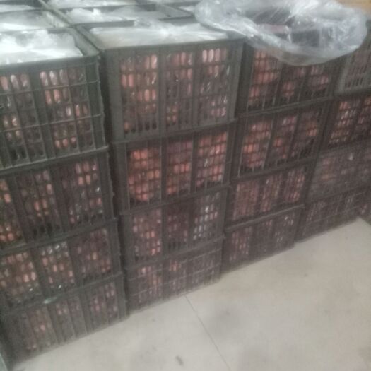 赵县250克——350克的雪花梨