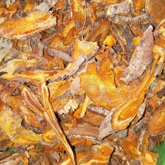 寻乌县虎杖 虎仗干片，大量有货现有库存3.5吨左右4元每市斤不包邮