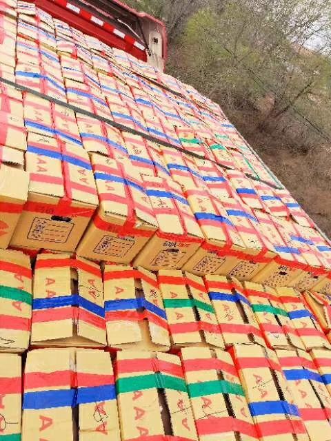 红心红薯 混装通货 红皮