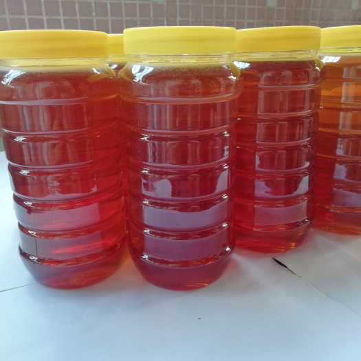 深圳 正宗土蜂蜜