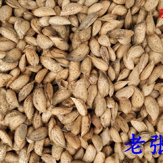 莎车县新疆喀什莎车巴旦木原味巴旦木·产地发货·电商扶贫