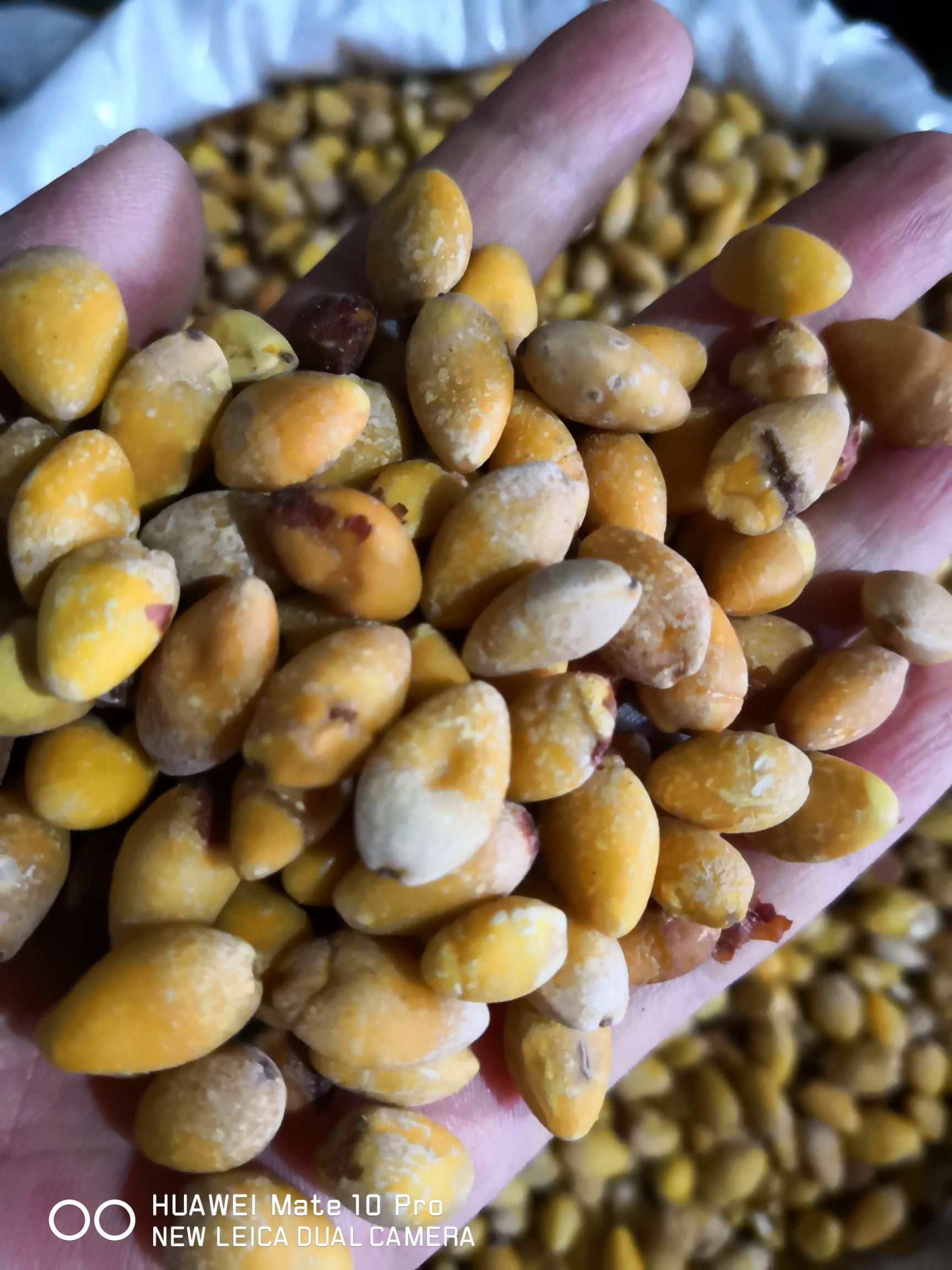 白果  带皮  去皮  各种规格 量大从优