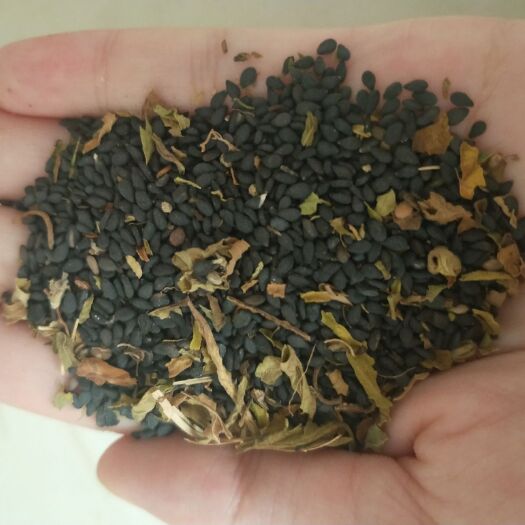 麻城市 纯正   黑芝麻  白芝麻  芝麻油  花生油