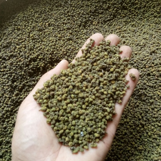柳城县 江西中花吴茱萸