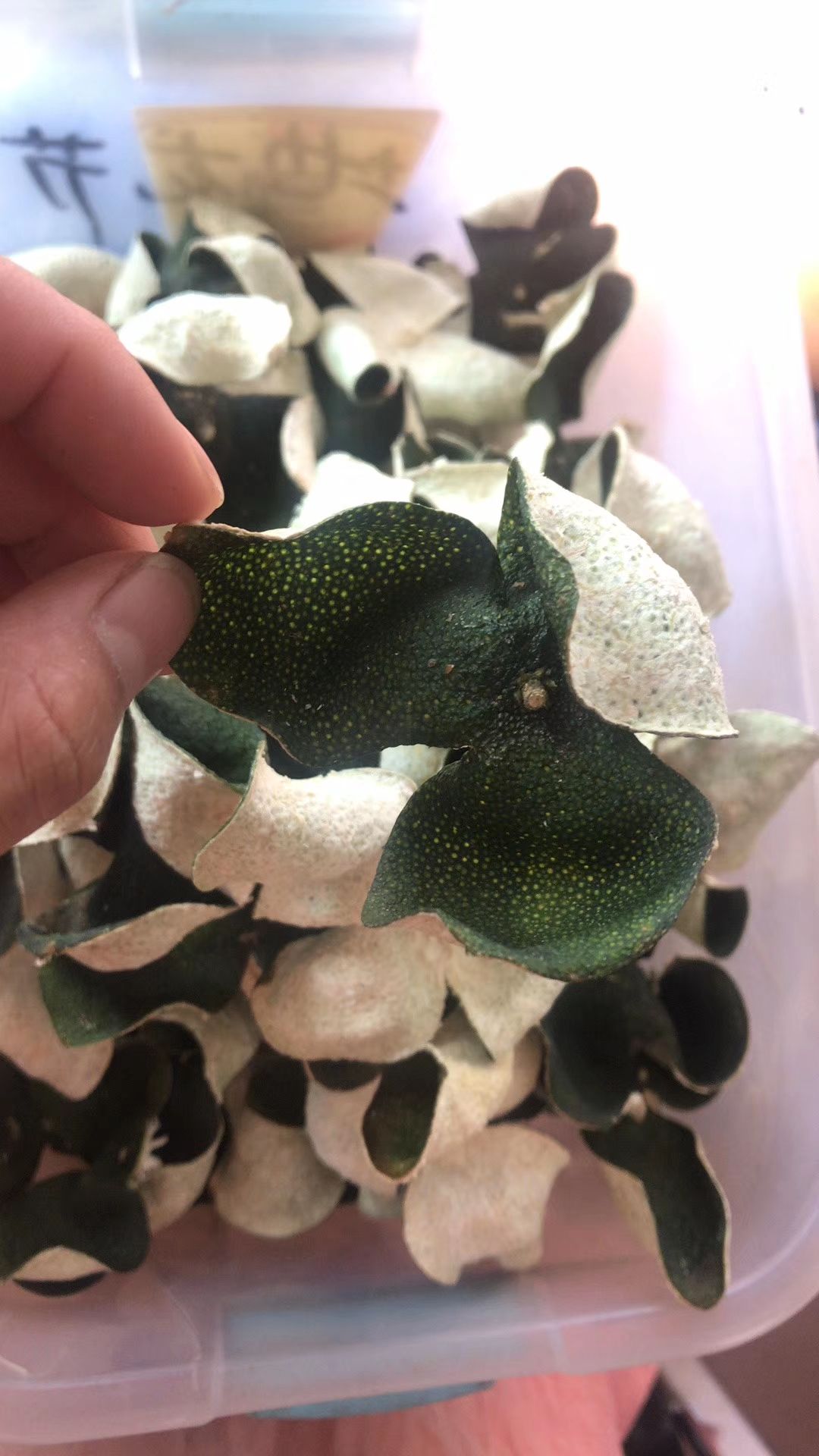 新干陈皮
