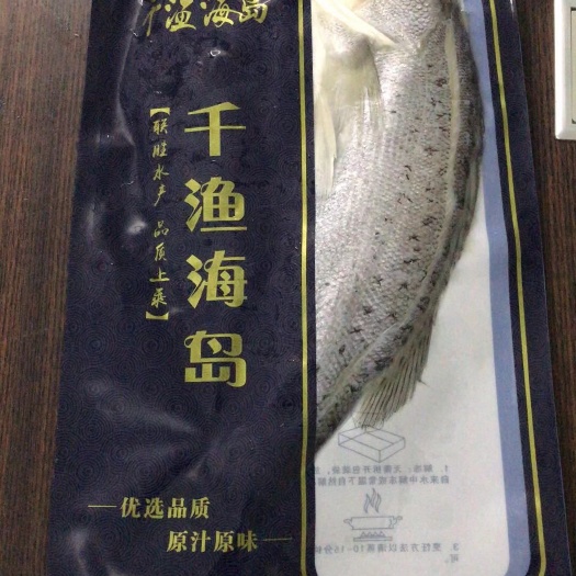江门冷冻公鱼 冰鲜海鲈鱼