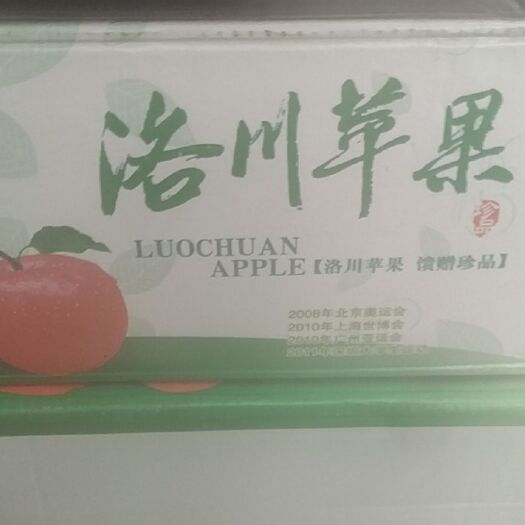 黄龙县 苹果
