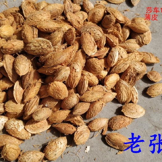 莎车县 新疆喀什莎车巴旦木薄皮巴旦木原味巴旦木·产地发货