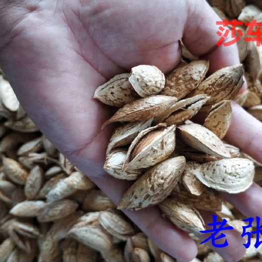 新疆喀什莎车巴旦木纸皮巴旦木原味巴旦木·产地发货·电商扶贫