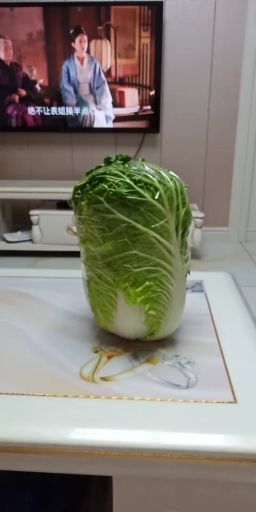 大安市 大量出售东北大白菜。