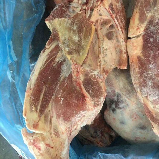 献县羊前腿 80大羊后腿