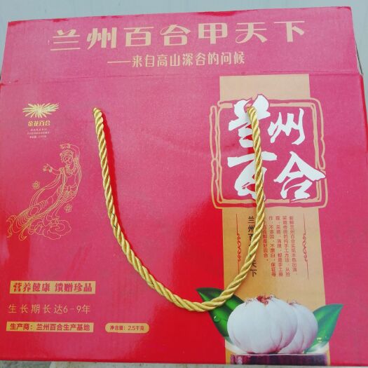 兰州兰州鲜百合，可以生吃的甜百合