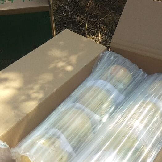 红河县 绿籽石榴