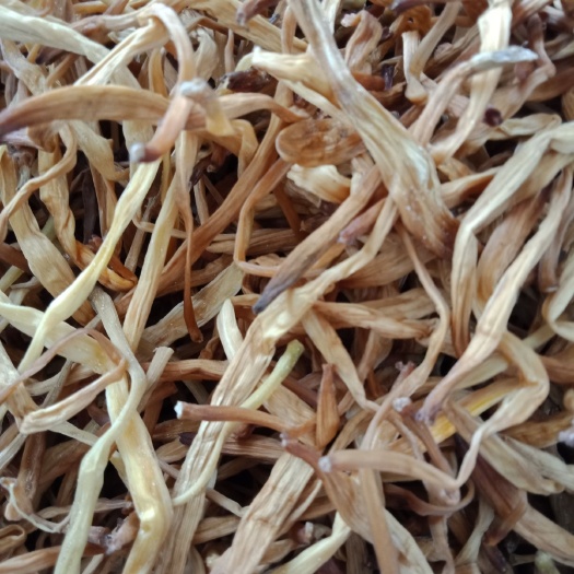 祁东县猛子花 干条菜，便宜，保质保量缺两陪十