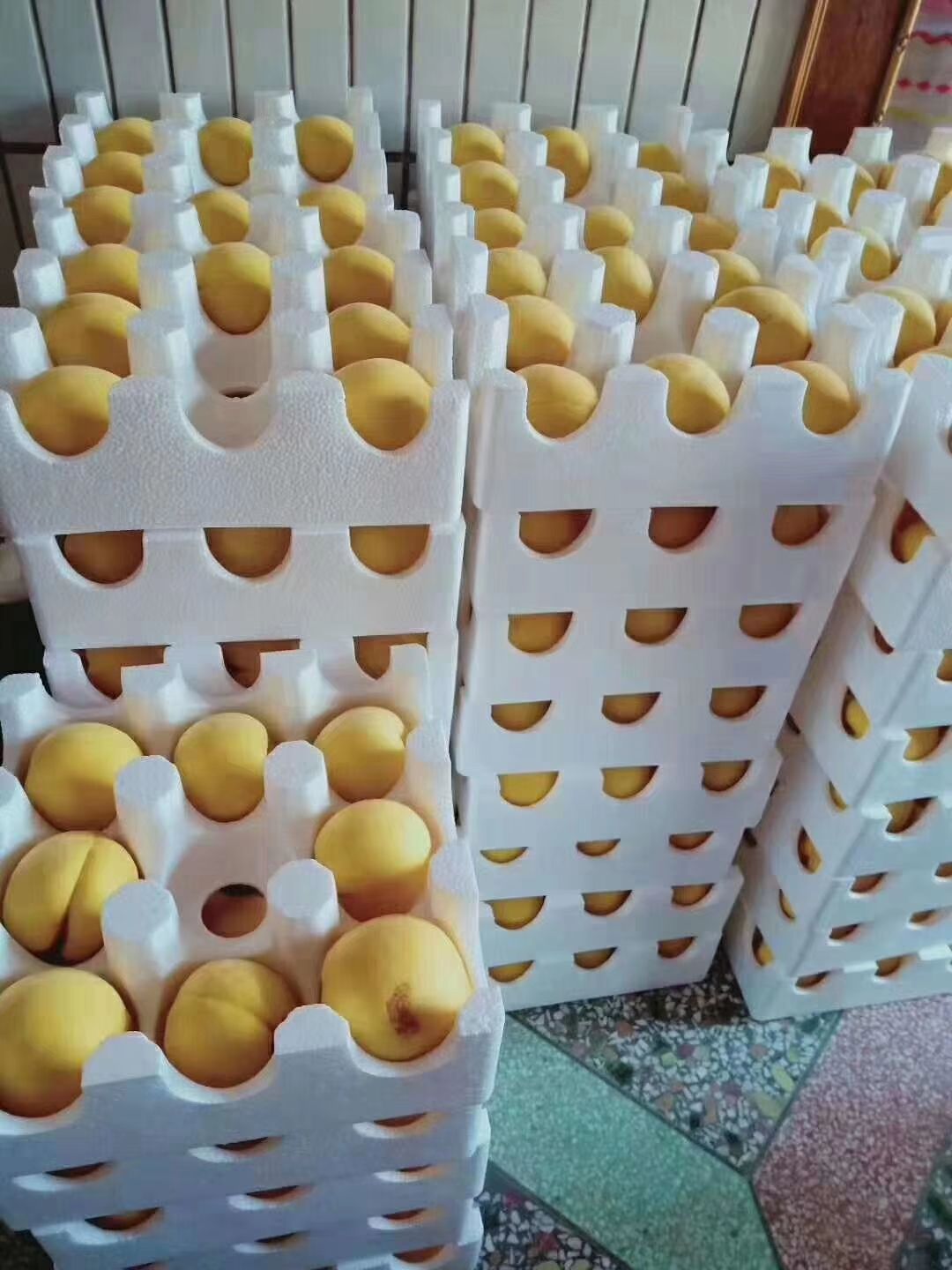  渭北高原黄桃 10斤净重 一件代发 黄色果肉 产地直销