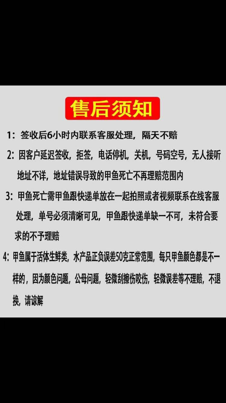  生鮮快遞包 大公甲魚，王八老甲魚水魚團魚假一賠十，現(xiàn)抓現(xiàn)發(fā)