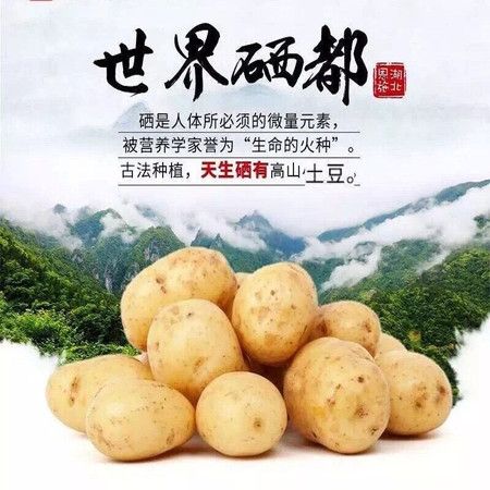 恩施小土豆马尔科土豆原产地直销，一件代发、整车发货