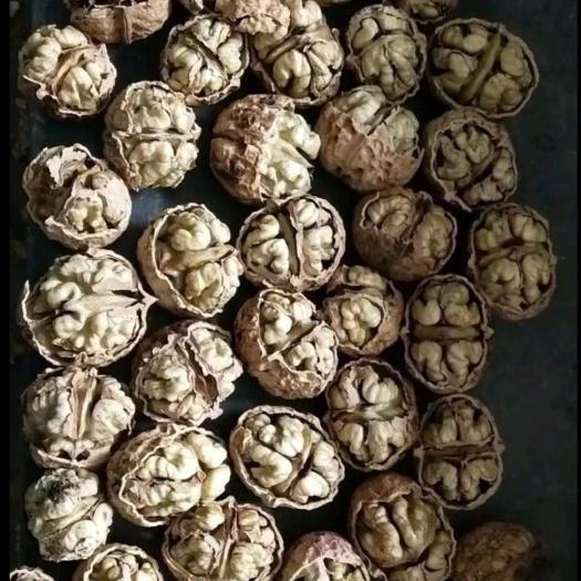 漾濞县 中国核桃之乡 漾濞大泡核桃。