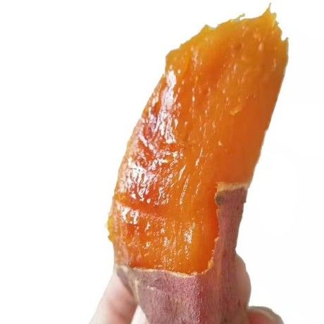  烟薯25沙地种植糖化甜心蜜薯烤地瓜一件代发