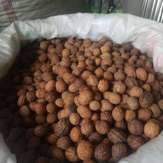 咸阳 供应杏树种子，桃树种子，李子树种子