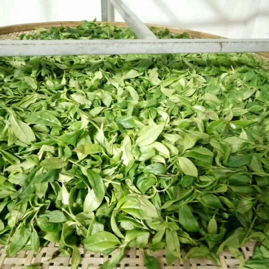 汕头 凤凰乌龙茶，物美价廉，口粮茶