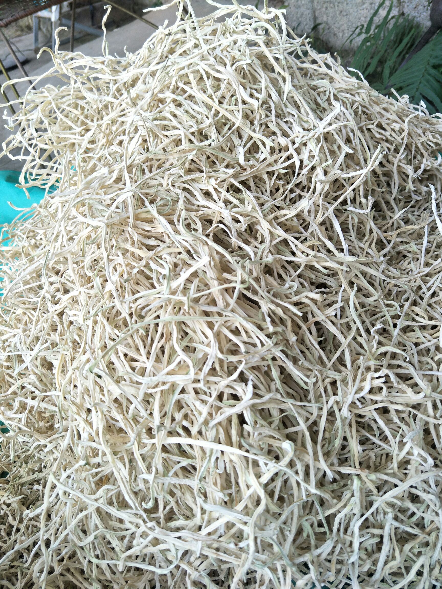 木瓜干 广西特产青木瓜晒干木瓜丝1斤包邮