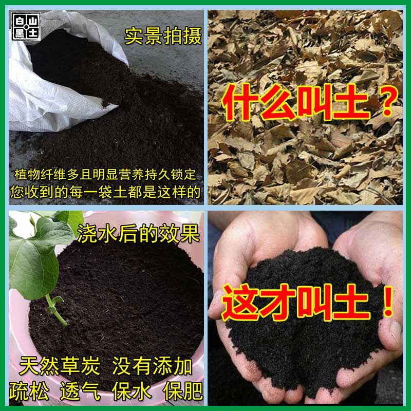  营养土通用种花种菜批发花肥料盆栽养花松针多肉君子兰兰花专用土