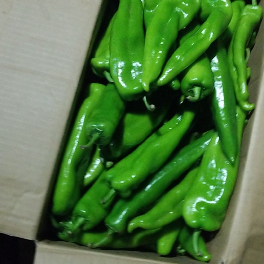 大连纸质包装盒 质检保证