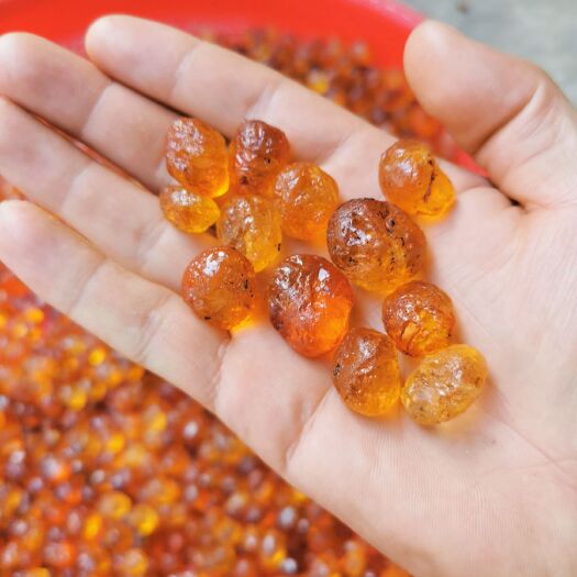钟祥市黄桃胶 纯黄机磨颗粒，好不好好看，老板们说了算