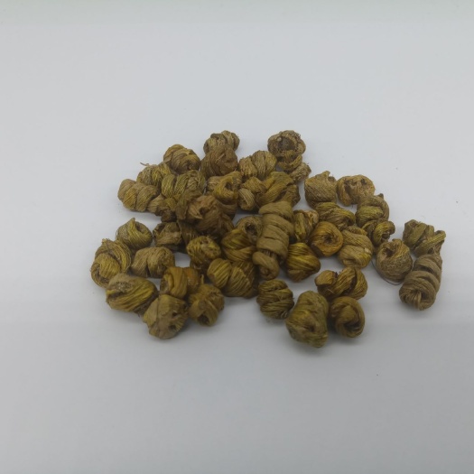 广州 大量紫皮石斛出售