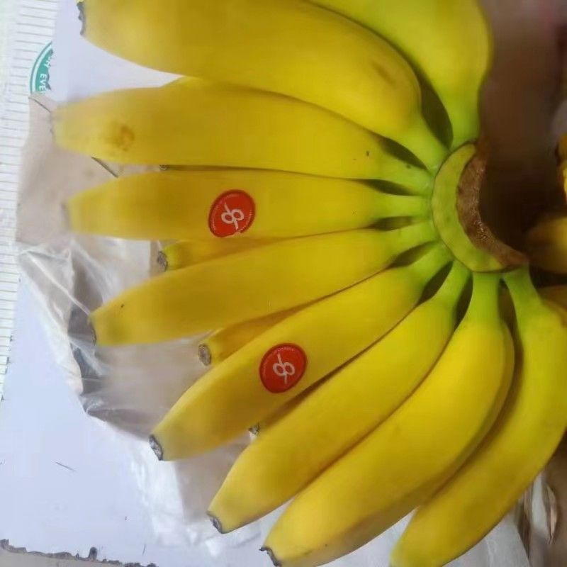 菲律宾香蕉 八成熟