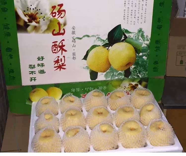 砀山酥梨 【精品】精品礼盒包装5斤净果