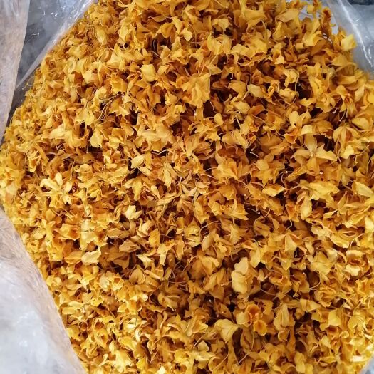 文山市 铁皮石斛花