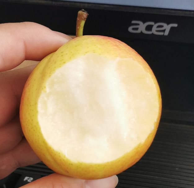 南果梨正宗东北辽宁特产梨子小香水梨晚秋子梨鞍山新鲜水果黄梨