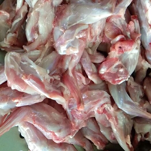黄梅县兔肉类 冰鲜比利时兔前腿
