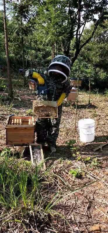 铜仁五倍子蜜 玻璃瓶装 2年以上 
