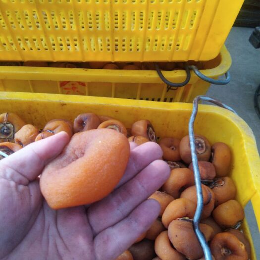 平乐县广西柿饼