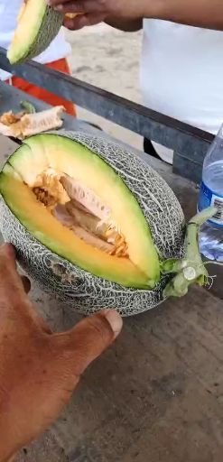 额济纳旗 内蒙古河套西州蜜