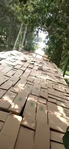 郓城县土鸡蛋 每天两百箱，商品蛋不是种蛋