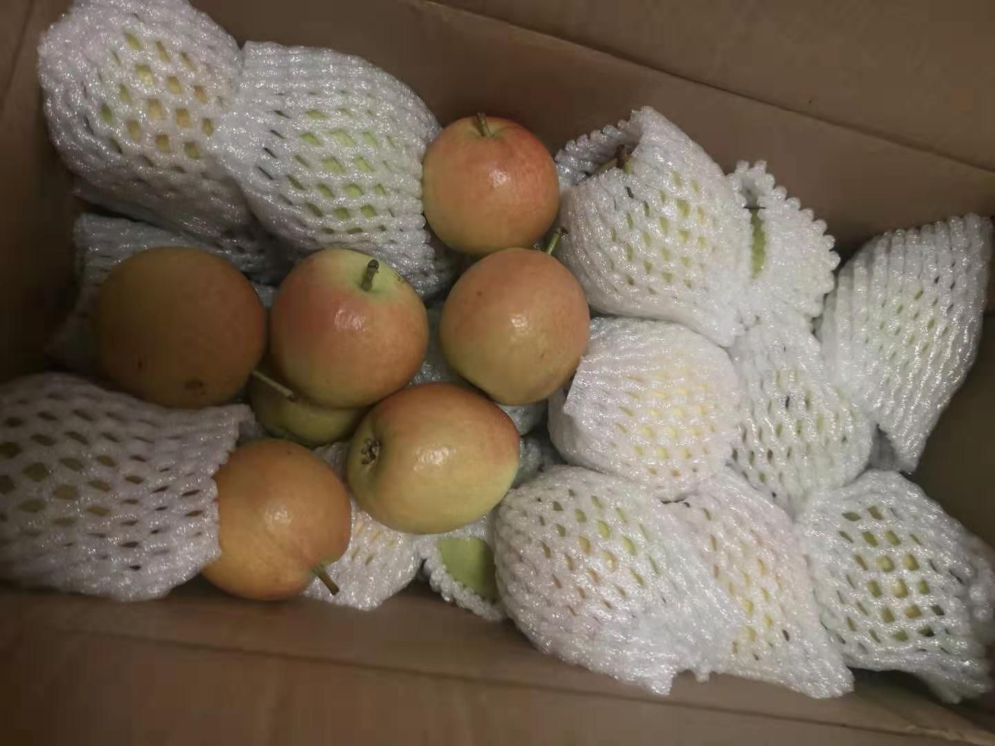 南果梨正宗东北辽宁特产梨子小香水梨晚秋子梨鞍山新鲜水果黄梨