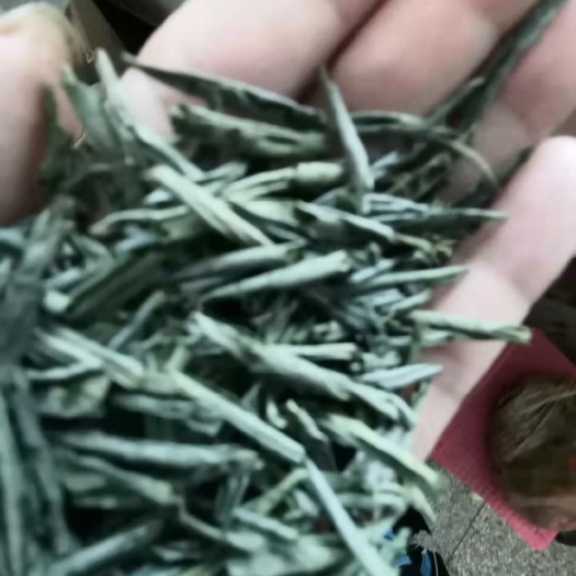 金寨县六安瓜片  精品精品高低挡都有