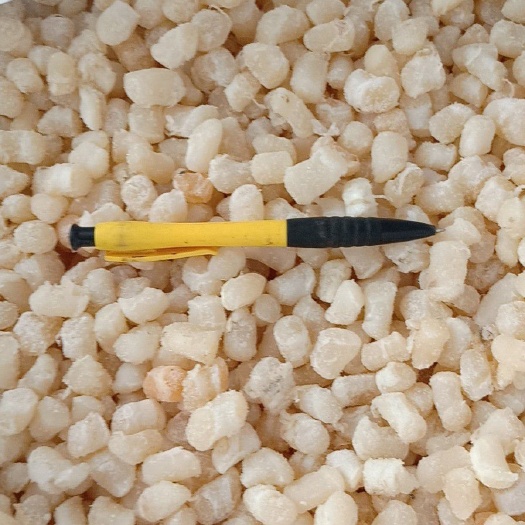 秦皇岛扇贝肉干 一手货，买着放心