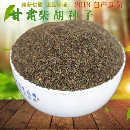漳县 甘肃原产北柴胡种子，量大从优，